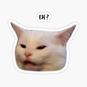 Funny confused white cat meme vinyl sticker featuring an “EH?” reaction text with a surprised facial expression.