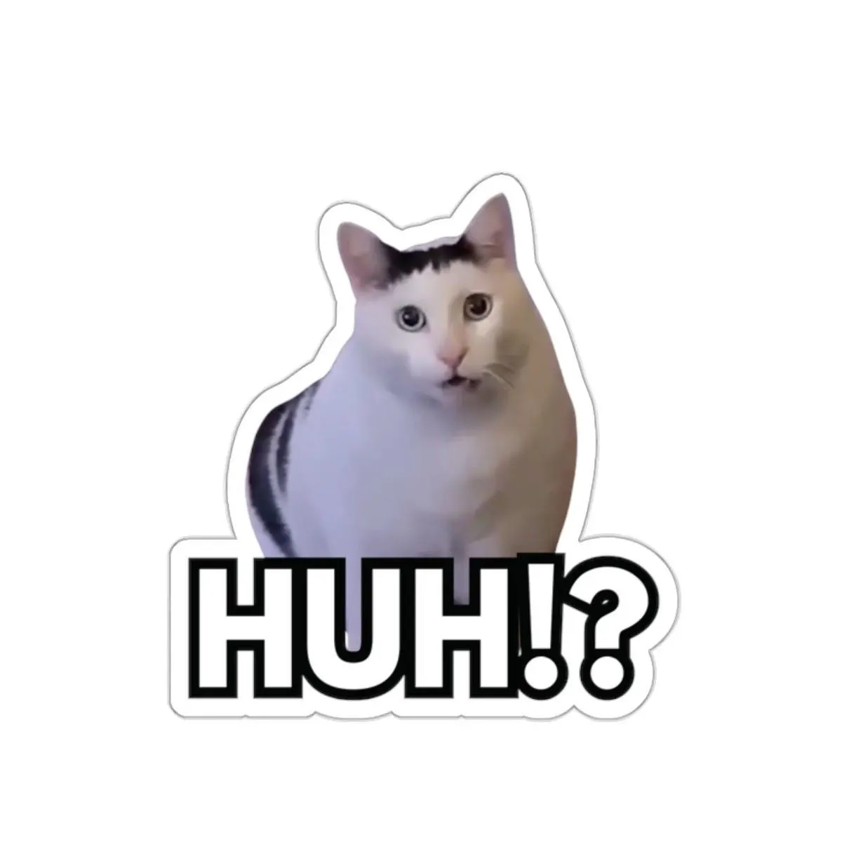 HUH Cat Meme Sticker by Forever Misfits